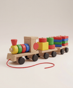 Montessori Shape Sorting Train
